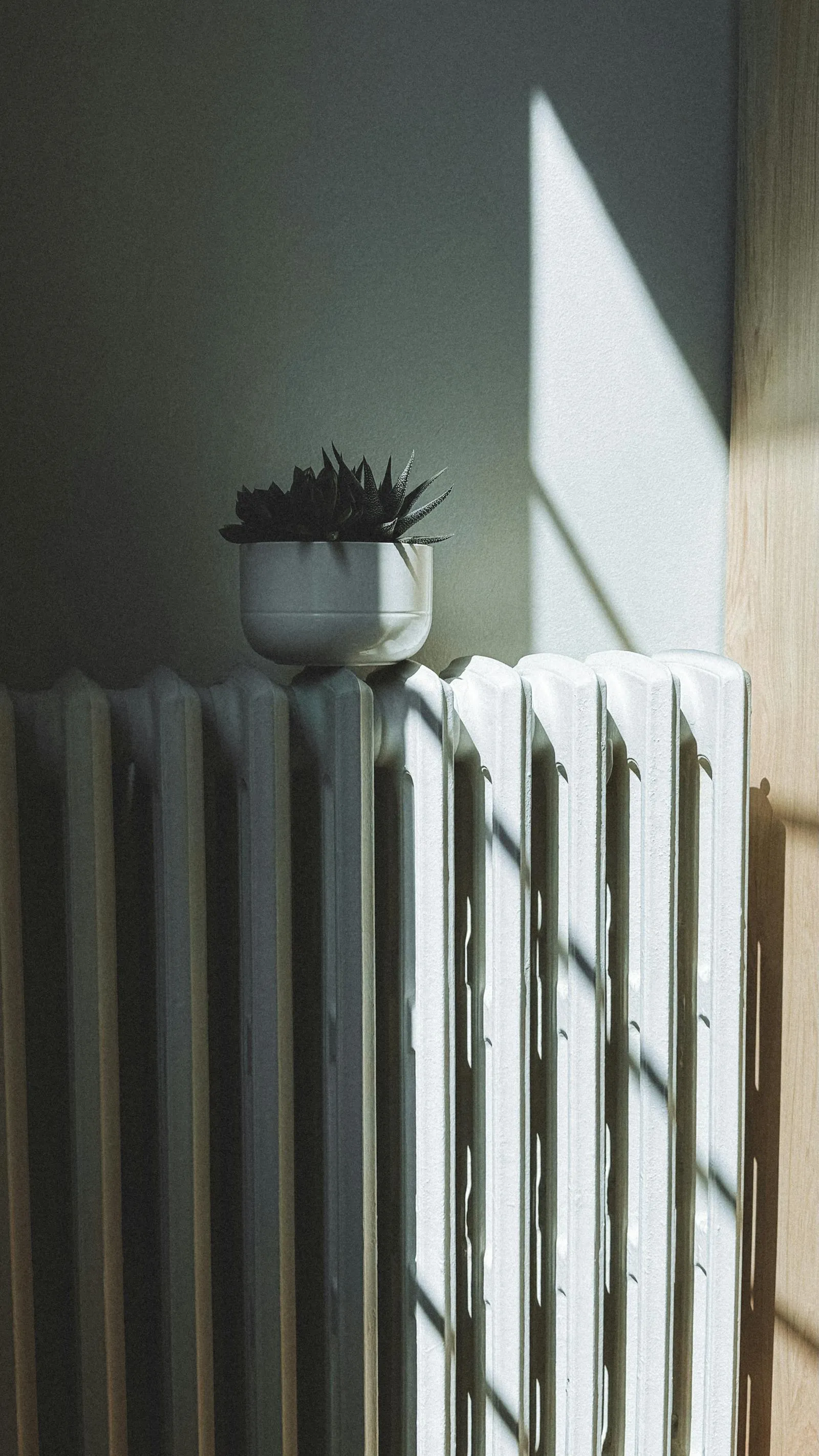 A large column radiator in a period room — bigger radiators let a heat pump heat tall Bristol rooms at lower water temperatures.
